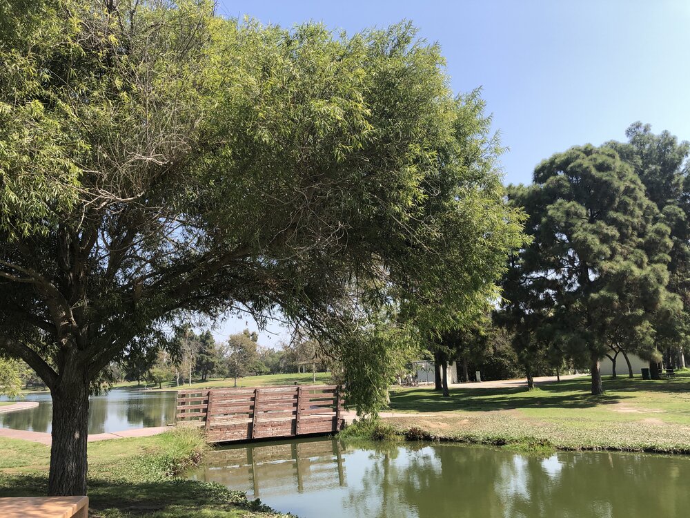 hiking trails in long beach