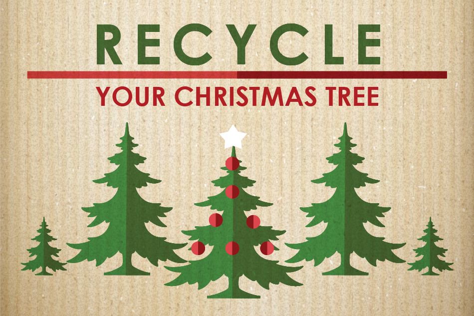 Sahuarita 2022 Christmas Tree Recycling Christmas Tree Recycling Available In Arlington Through Jan. 12, 2022 -  Opera News