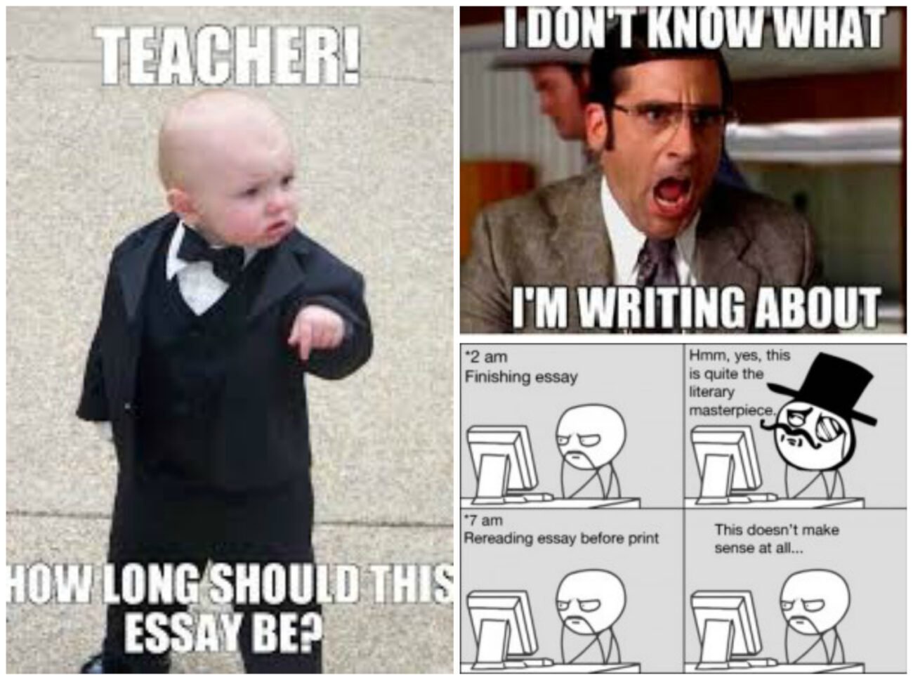 Essay writing memes - Opera News