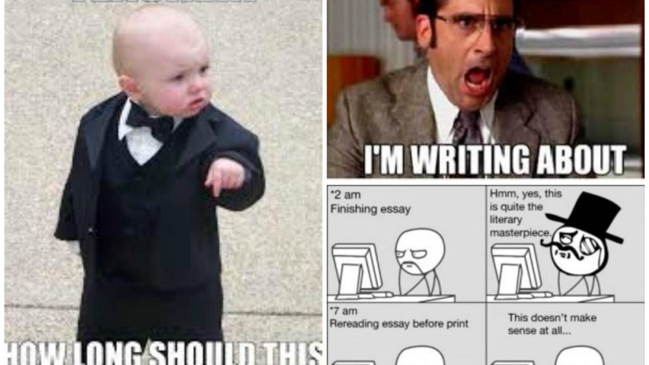 Essay writing memes - Opera News