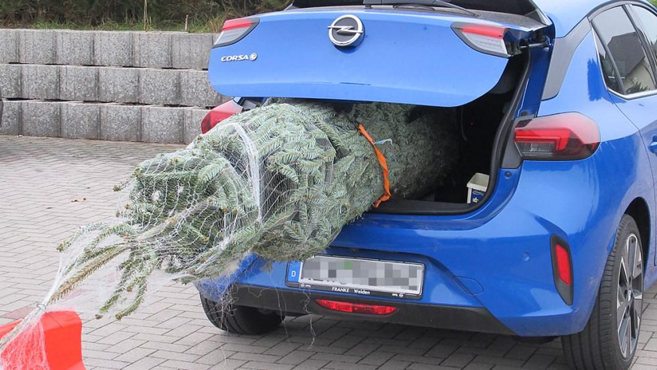 Weihnachtsbaumtransport per Auto: Tipps für die Sicherheit