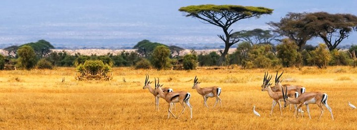 Ruma National Park | Ruma National Park | Memphis Tours