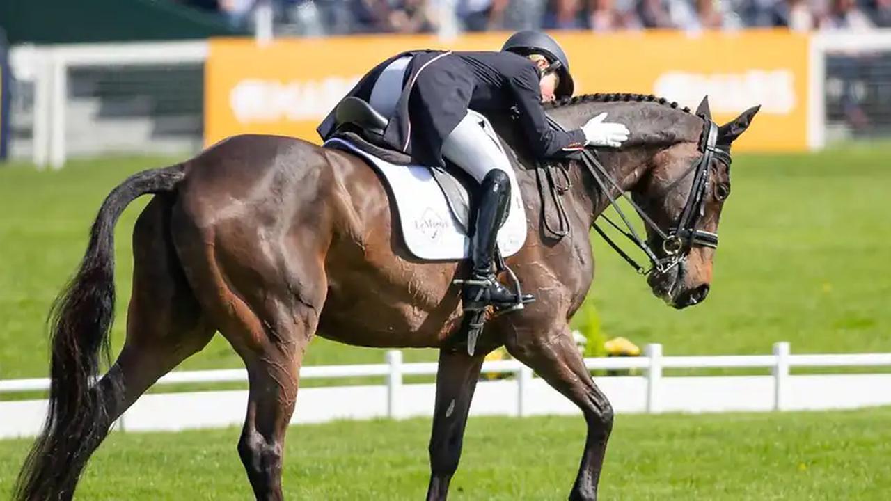 Tragödie beim Chio Aachen: Weltmeister-Pferd nach Unfall eingeschläfert