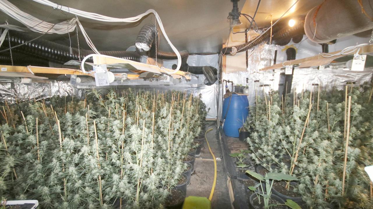Cannabisplantage im Keller: Trio verurteilt
