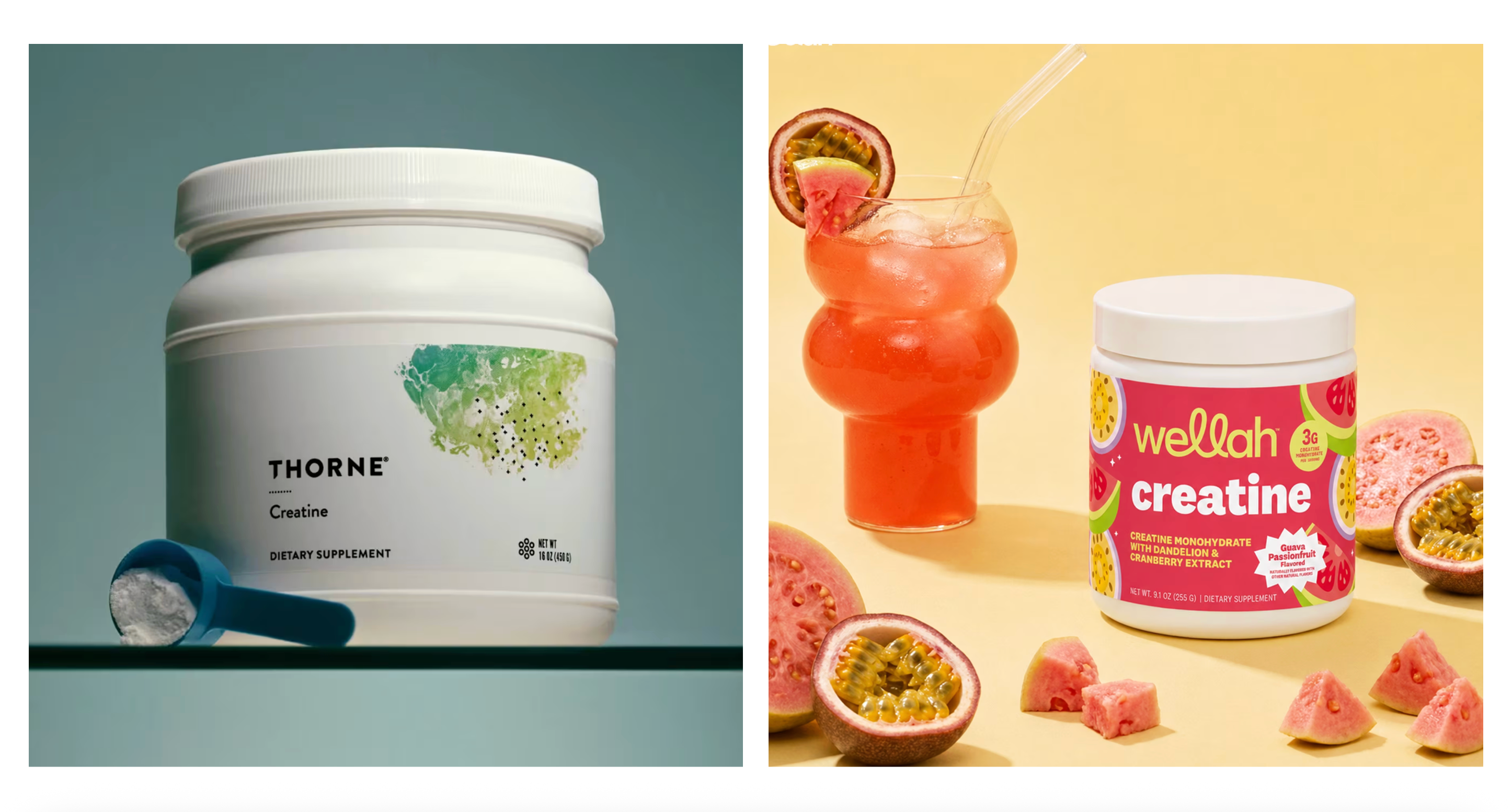 Top Creatine Supplements for 2026