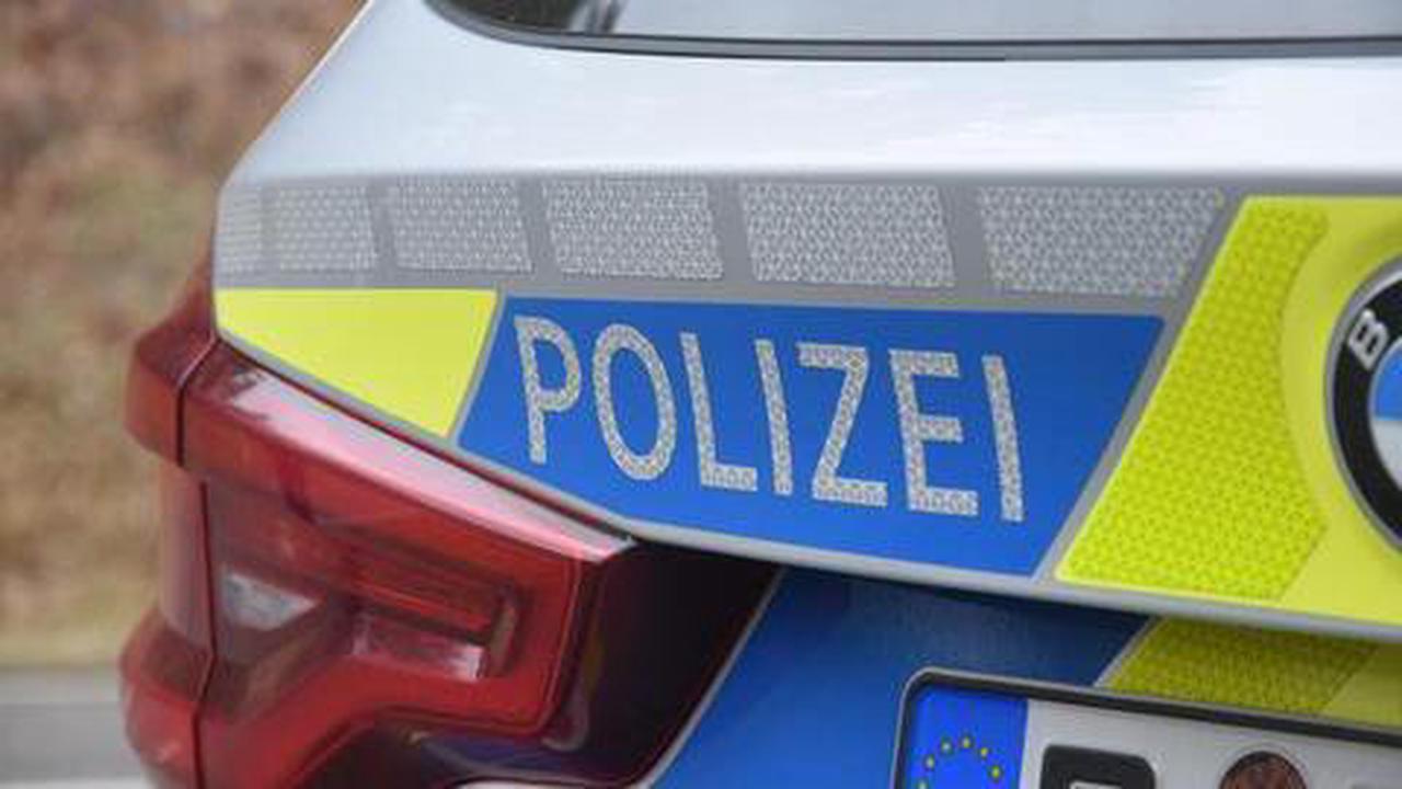 Einsatz im Landkreis Cham Polizei erschießt entlaufenen Stier in Treffelstein