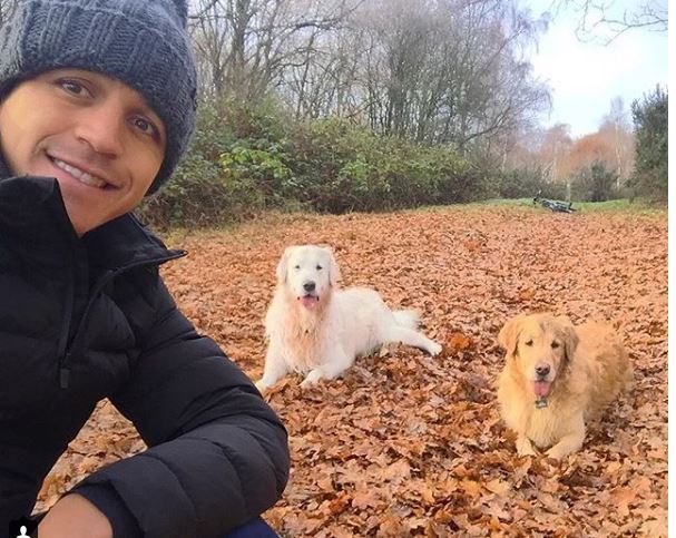  Alexis Sanchez regularly posts pictures of his two dogs