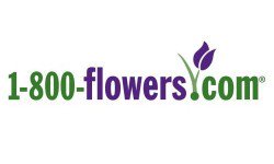 1 800 Flowers Com Nasdaq Flws Newegg Commerce Nasdaq Negg Head To Head Survey Opera News
