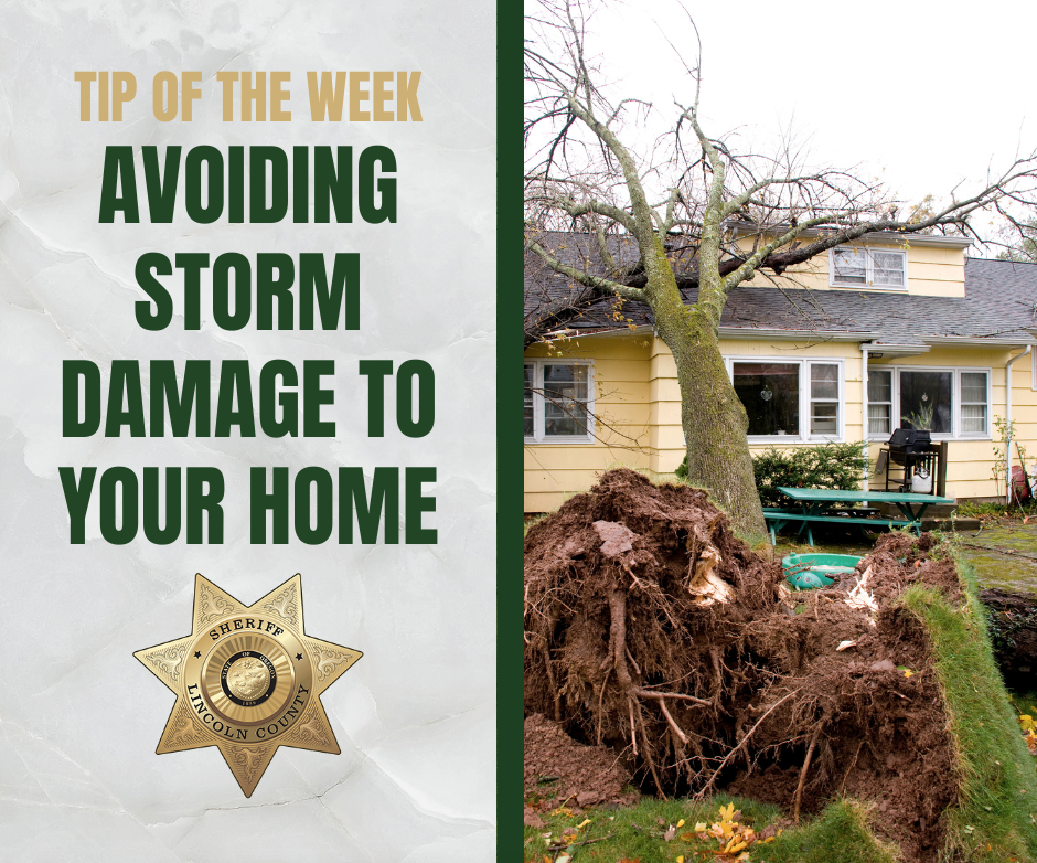 Tip of the Week