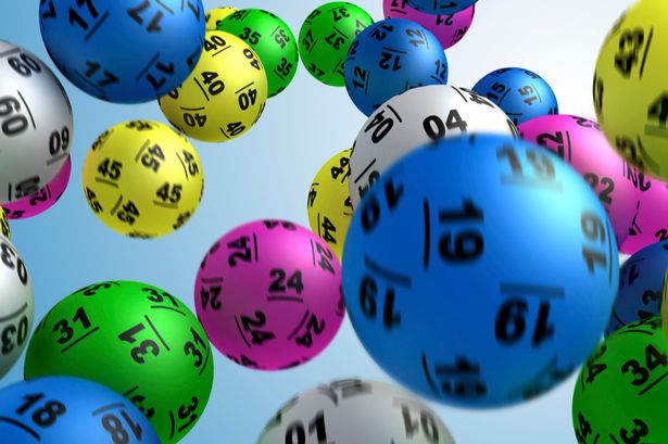 lotto 649 news