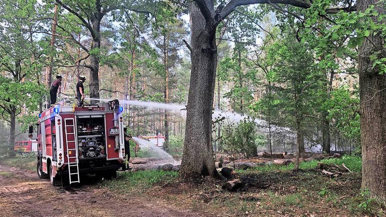 KostenpflichtigHorstwalde: Granaten explodieren bei Feuer im Forstrevier Wunder