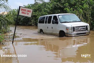 Crocodiles, wild animals invade Ogun community