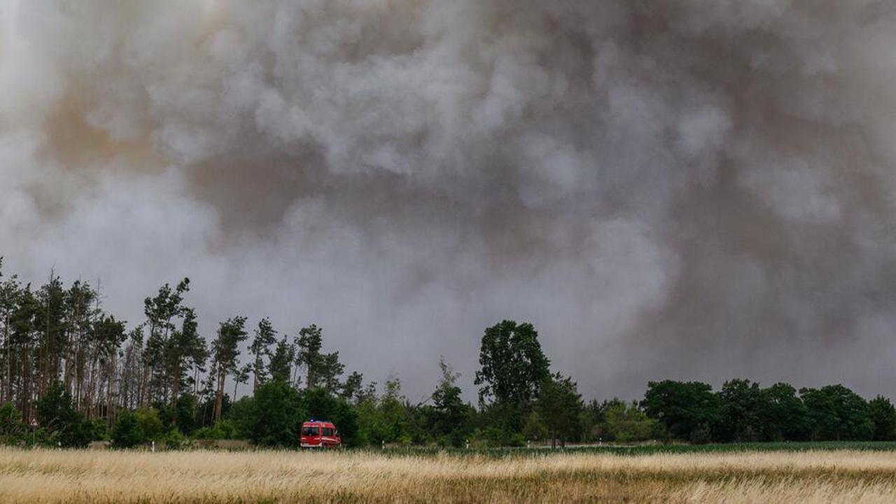 Brand in Lieberoser Heide auf 50 Hektar ausgeweitet