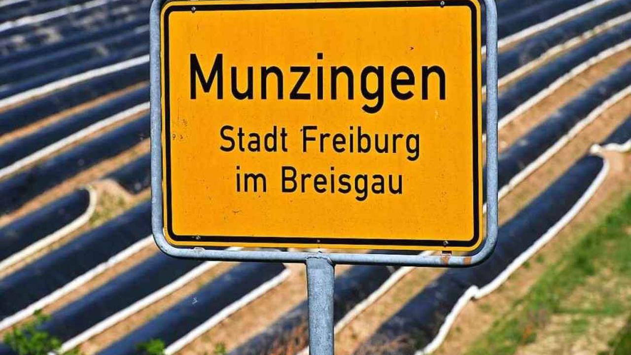 Räte von Freiburg-Munzingen könnten sich Verbundschule auch in zwei Schritten vorstellen