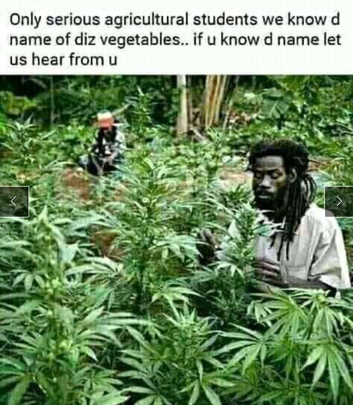 4e0b242cf82932d97be8f8b522f744c6?quality=uhq&format=webp&resize=720&watermark=true