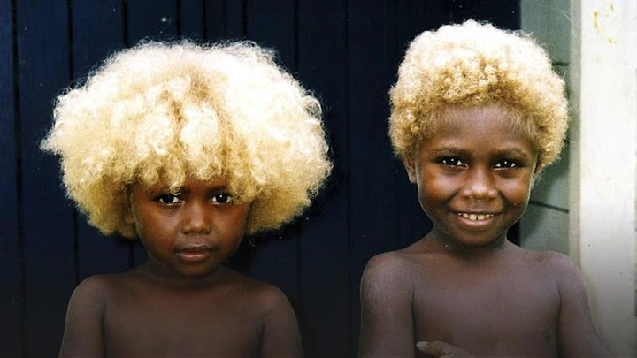 Incredible Melanesian People The World S Only Natural Black Blondes