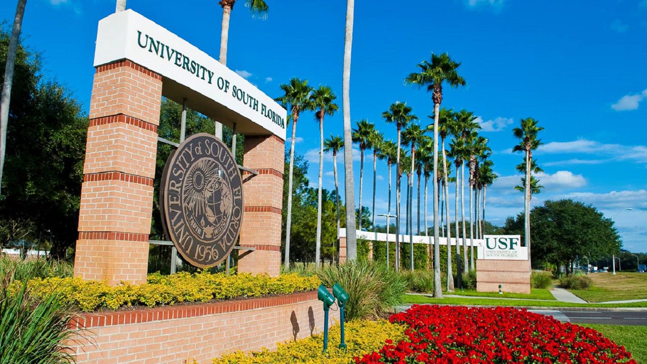 USF students, families celebrating inperson graduations this weekend