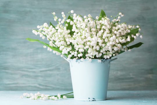Muguet Envoyez Une Carte Ou Faites Livrer Du Muguet Porte Bonheur Pour Le 1er Mai Opera News
