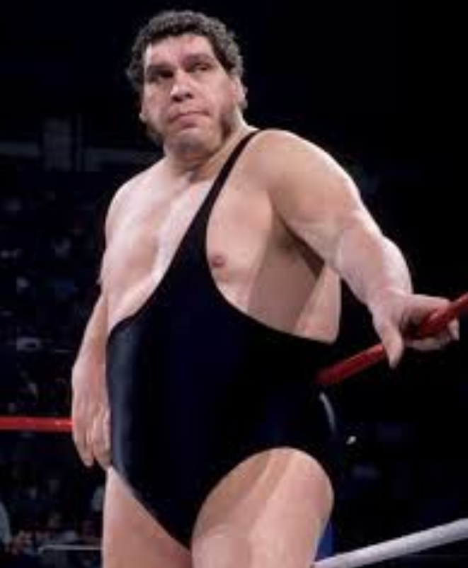 big and tall wrestling singlets