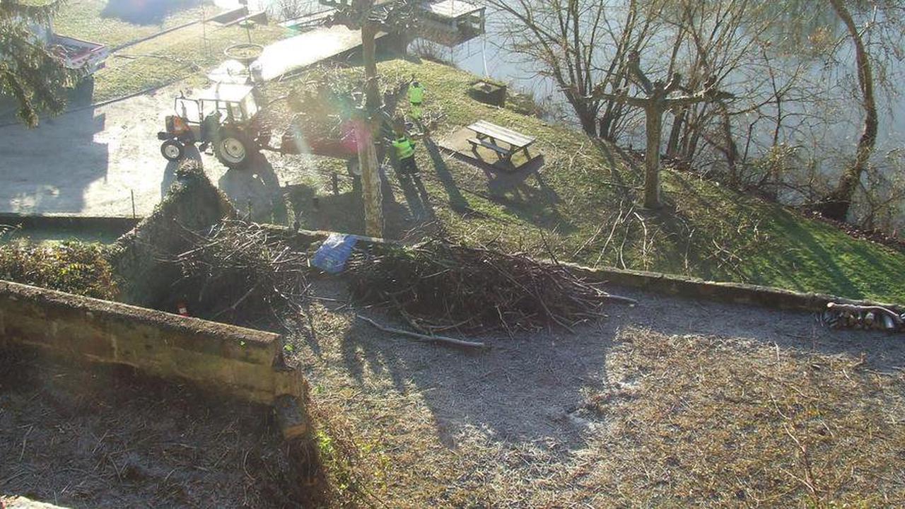 Guîtres : Un grand nettoyage au Jardin de la Motte