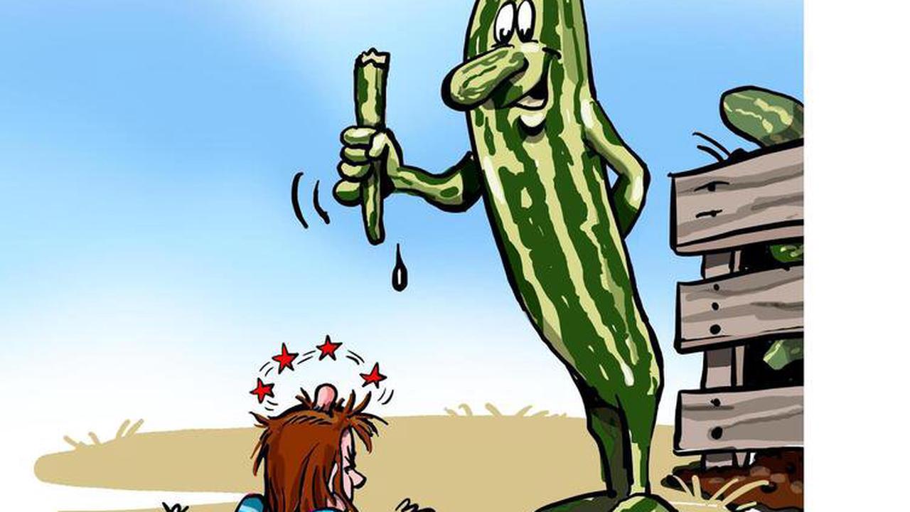 Ko­lum­ne: ich sag’s mal so Zucchini-​Alarm