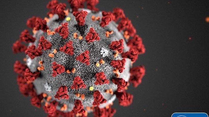 Virus Corona