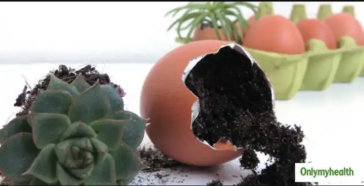 55c55427942d3267fd0edfff78c78b77?quality=uhq&format=webp&resize=720&watermark=true