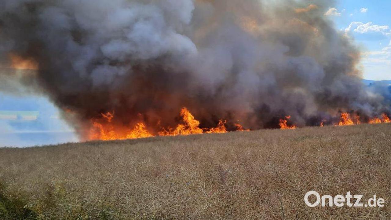 Hitze und Wind: Getreidefeld bei Weihern steht in Flammen