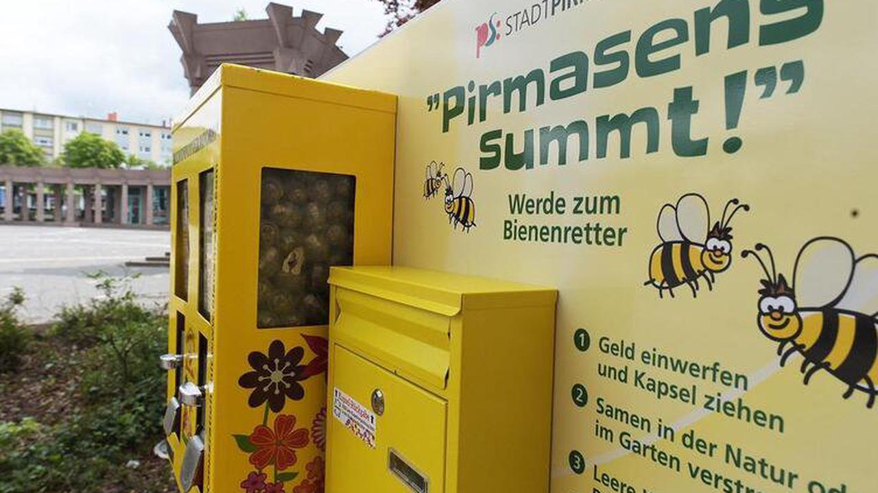Der Automat mit dem Bienenfutter ist verschwunden