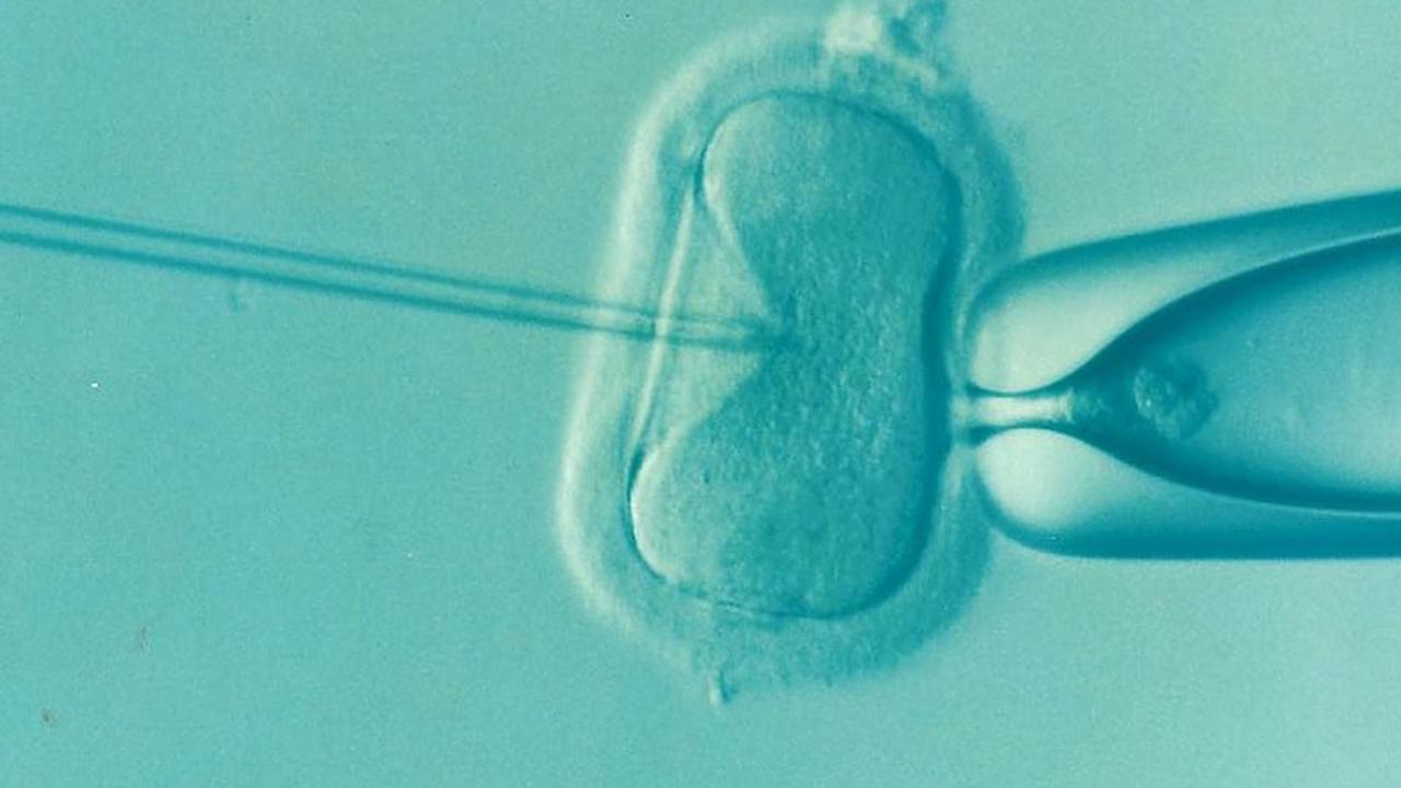 Why is egg freezing becoming so popular?: The story of fertility preservation in a fast-paced world