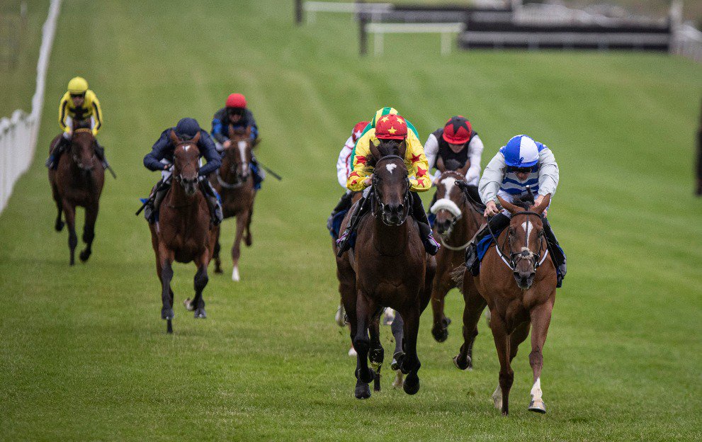 Horse Racing Tips A Classy 9 1 Shot Tops Our Best Bets At Roscommon Today Opera News