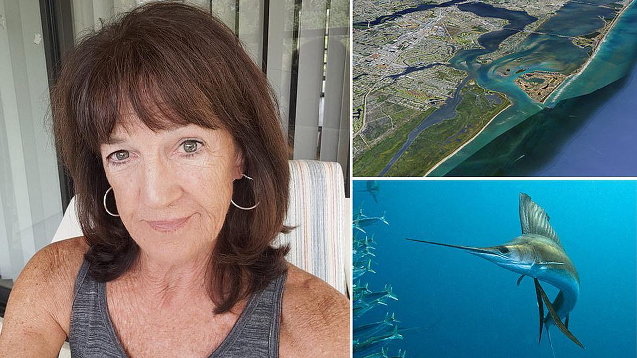 Woman, 73, is impaled by 100-pound fish that leapt from the ocean
