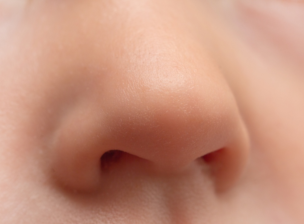 What is the human nose?