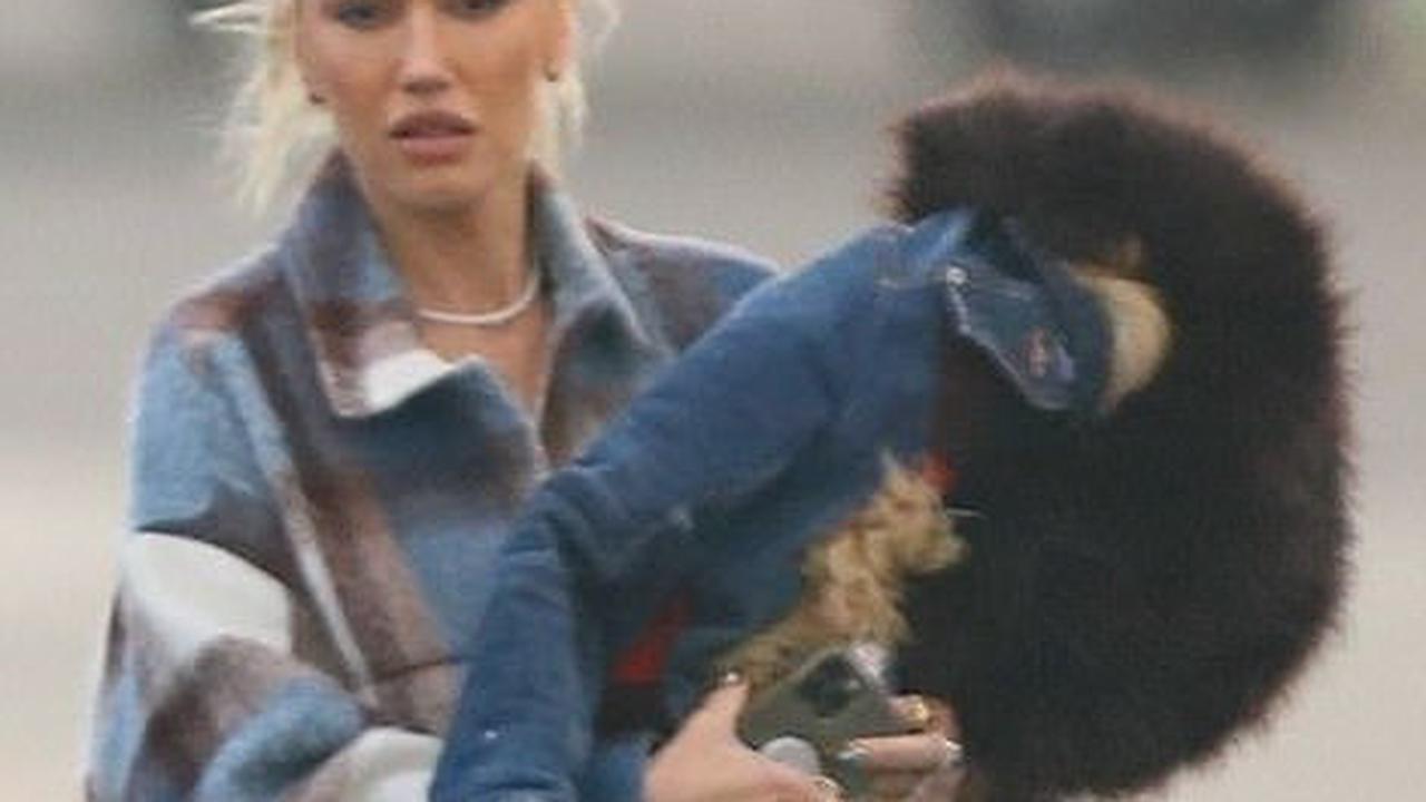 Gwen Stefani and Blake Shelton touch down at Van Nuys airport after spending some quality time together in Oklahoma