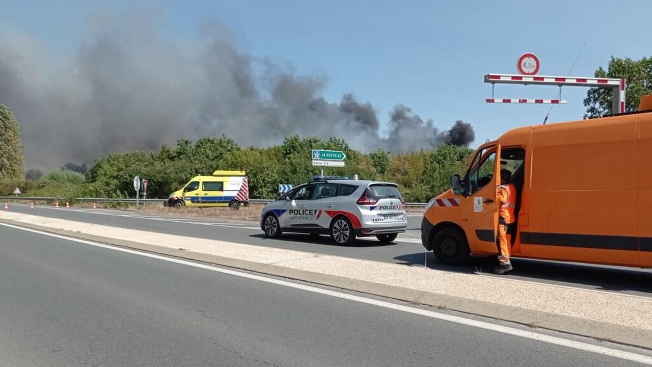 Rochefort : 15 ha détruits par un feu de broussailles