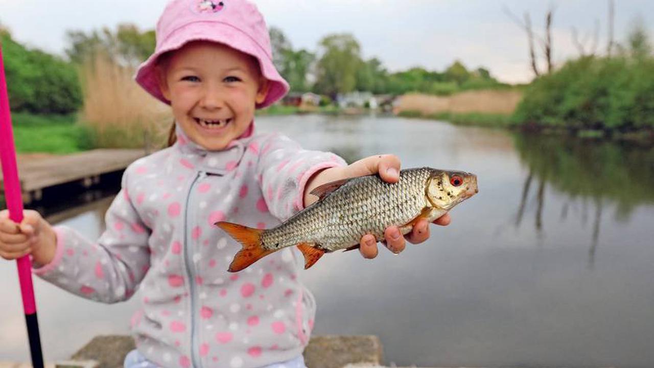 KostenpflichtigAngeln in MV bei Kindern immer beliebter – Stars der Szene kommen zu „Fishing Masters 2022“ in Rostock