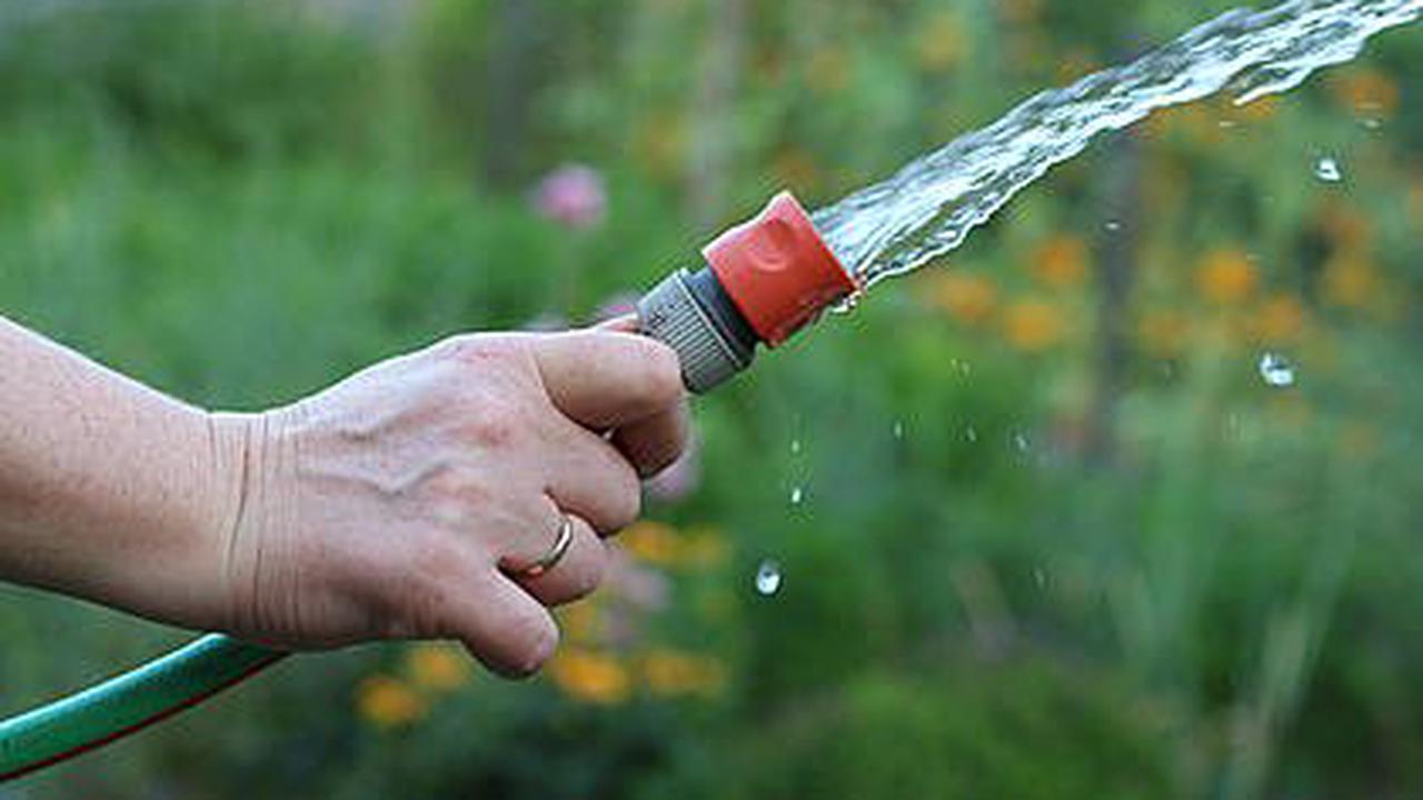 Wasser-Problem in Augustdorf: Verbrauch weiter zu hoch - Gemeinde lässt Verbote prüfen
