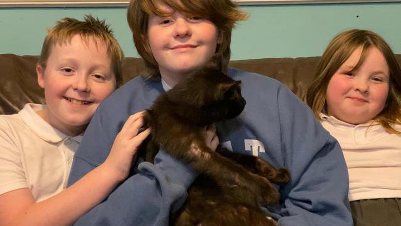 Family reunited with cat lost for EIGHT months after mum recognises meow during phone call