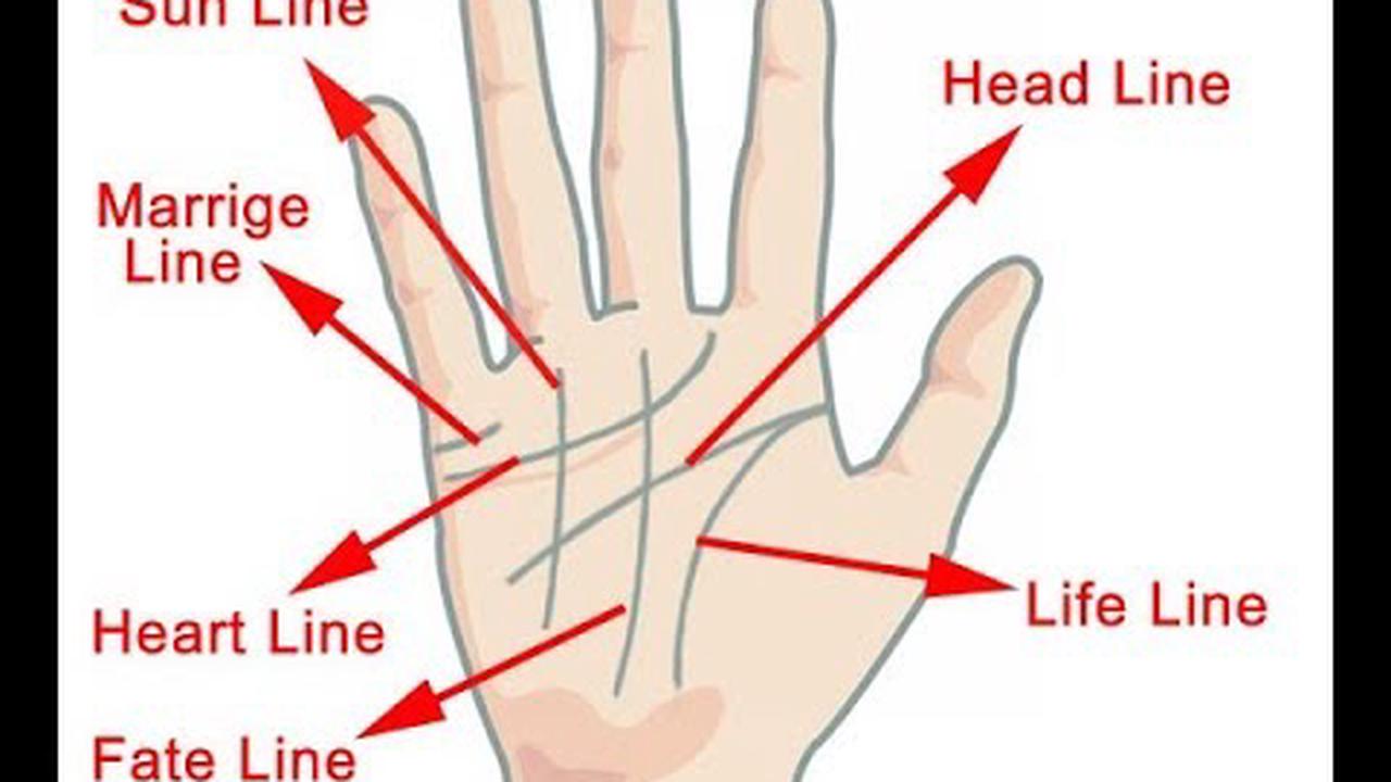 Check out the meaning of the lines on your palms.