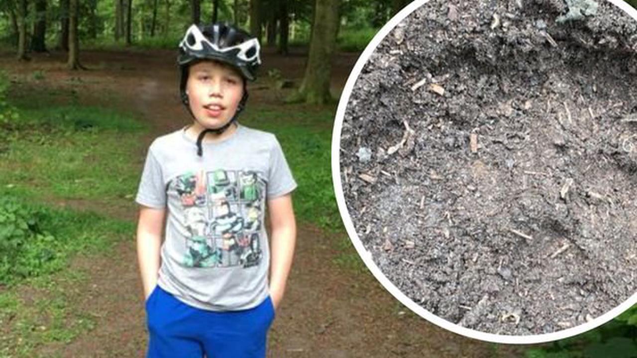 Dad watches on in horror as 'big cat' chases son on bike ride in woods