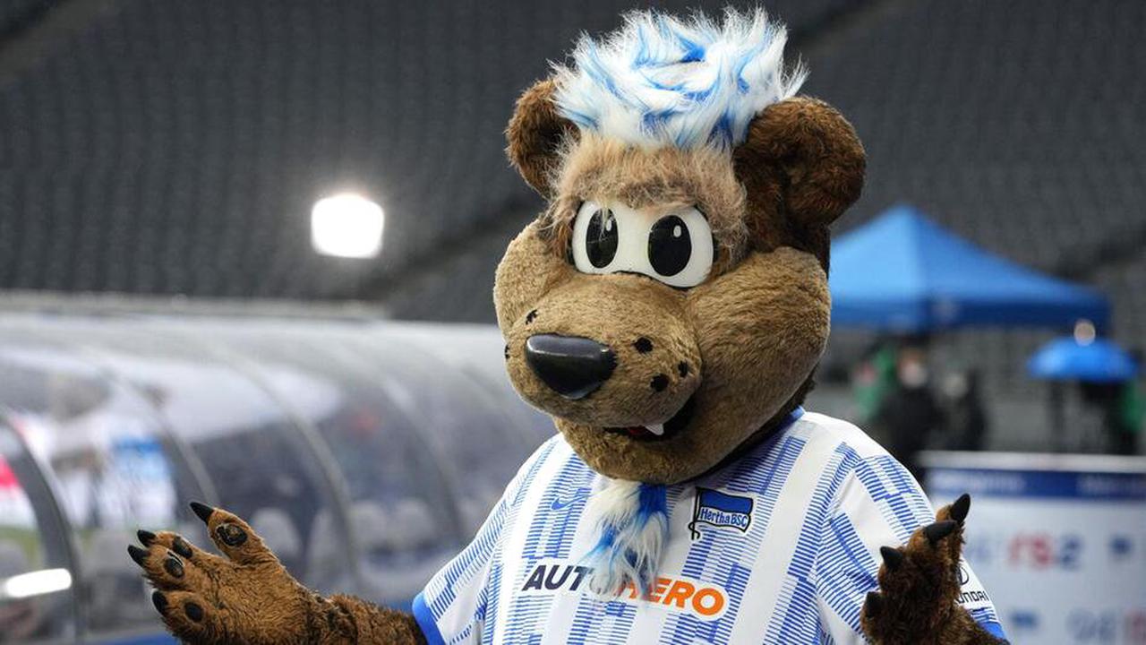 Verhärtete Fronten: Hertha fordert Entschuldigung von Fans