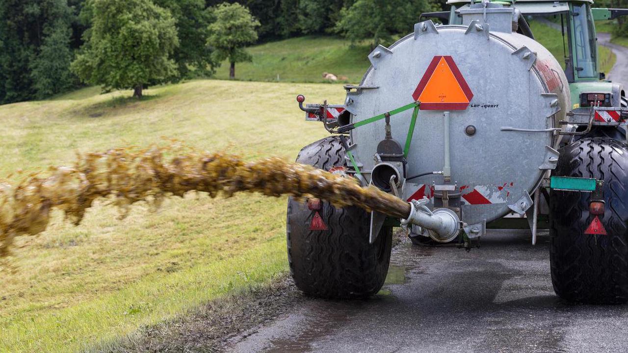 Stickstoff im Boden – Die Zürcher Grünen wollen Güllen-Bauern einschränken