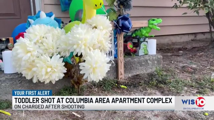 ‘Use My 2nd Amendment Right': A Neighbor Waved a Gun Over a Toddler in Her Driveway — Deputies Confiscated It Days Later