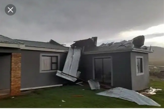 Opinion | how do you survive strong winds this summer ?