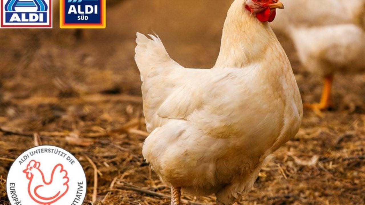Erste Hähnchenprodukte bei ALDI erfüllen die Kriterien der Europäischen Masthuhn-Initiative