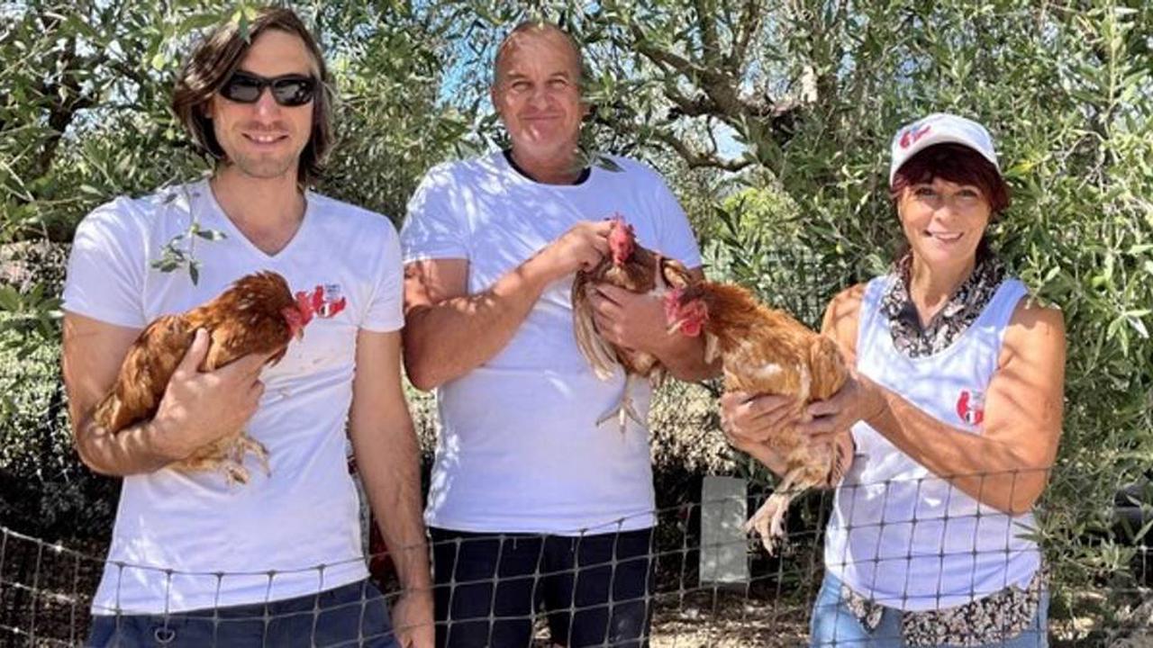 A Cuges-les-Pins, ils sauvent la vie des poules en les faisant adopter