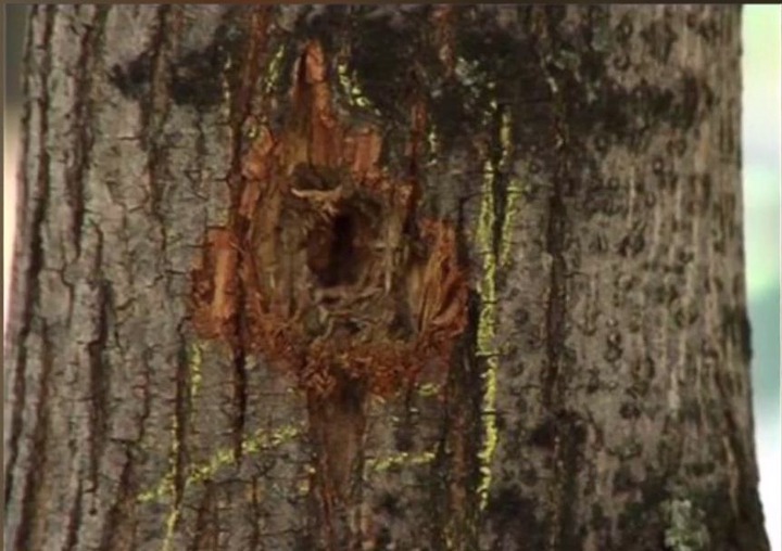 639d123fdb9660a4b8ac37c042c71b03?quality=uhq&resize=720