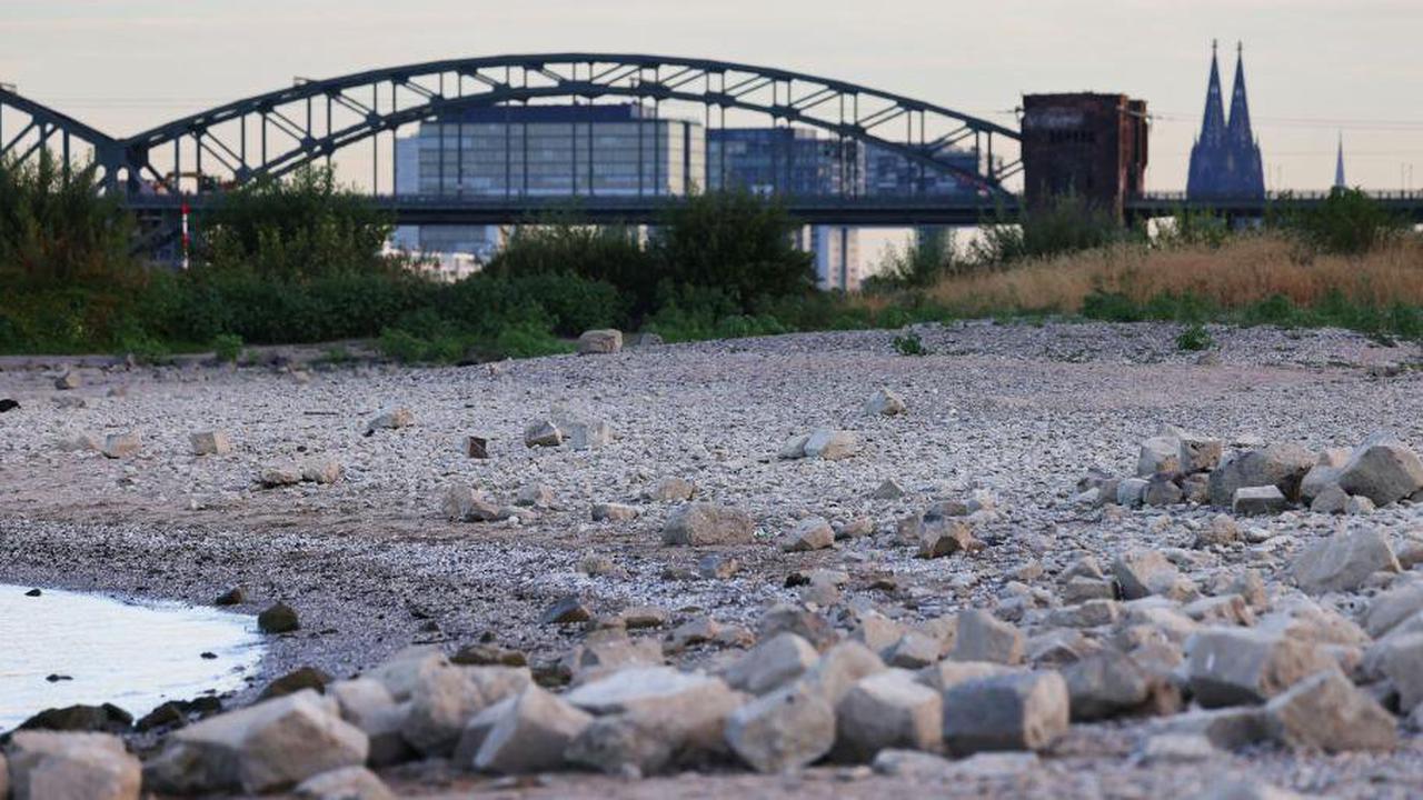 Schifffahrt Rheinpegel sinkt weiter: Neuer historischer Tiefststand