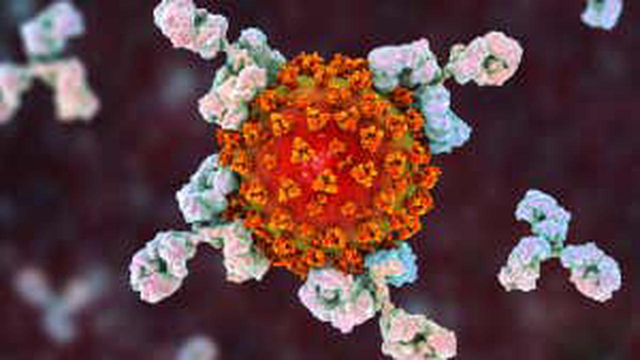 Immunity for common cold coronaviruses may ward off severe covid-19