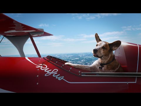 Microsoft Holiday Ad Spot Delivers Free Minecraft Flight Simulator Goodies Opera News